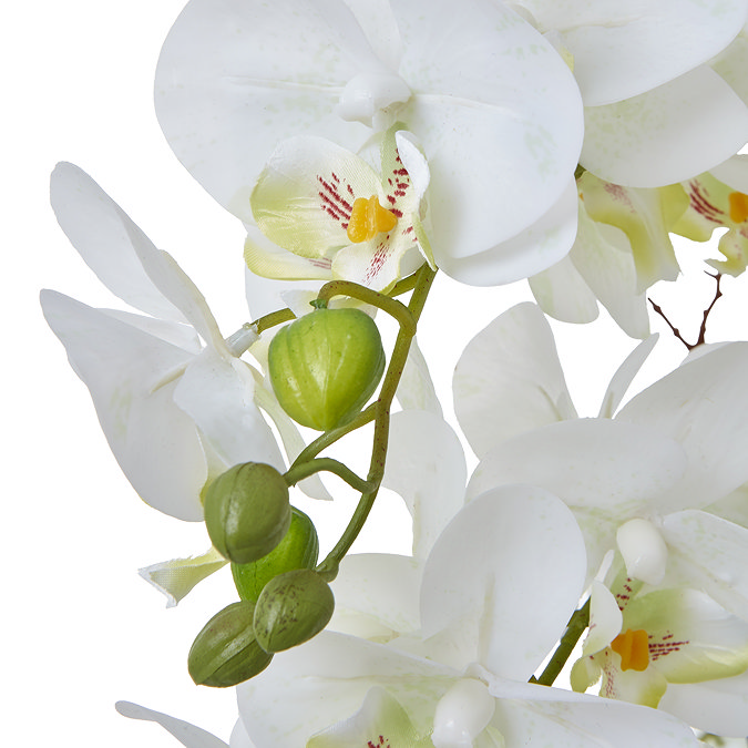 close up on faux white orchid plant leaves