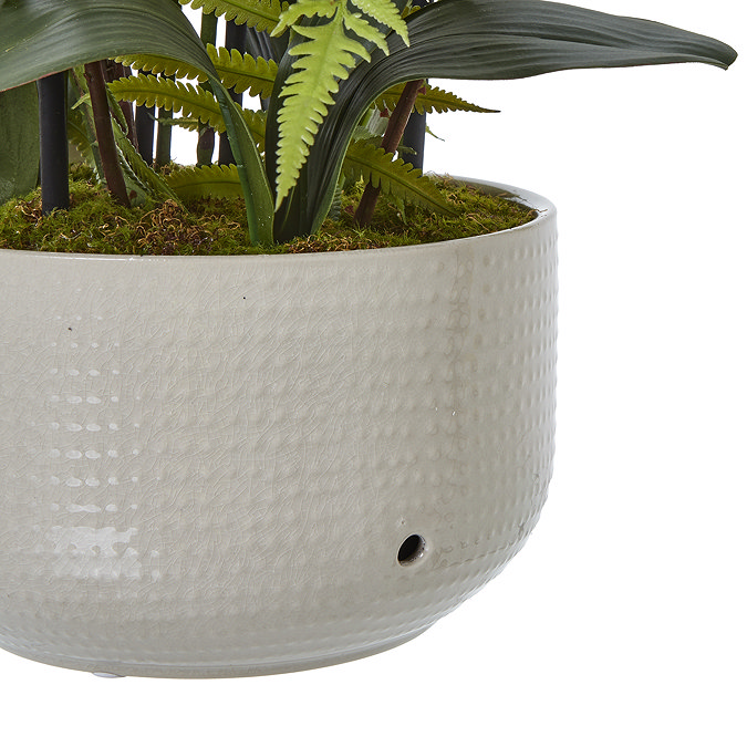close up image of white textured ceramic pot containing orchid