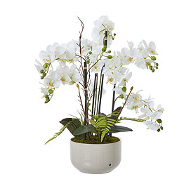 image cut out on white background of faux orchid plant in white ceramic pot