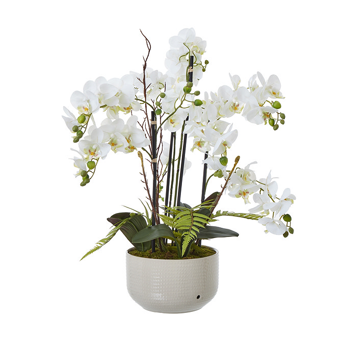 image cut out on white background of faux orchid plant in white ceramic pot