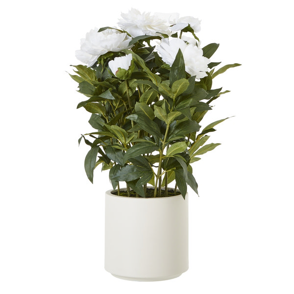 White Peony Plant Cutout
