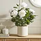 White Peony Plant Lifestyle