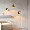 image of pendant light in antique brass, hanging from ceiling to match floor lamp in the corner of the room