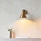 image of brass coloured wall light above a living room shelf, emitting warm glow onto thin faux plant
