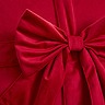 close up image of red velvet cushion with bow detailing