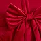 close up image of red velvet cushion with bow detailing