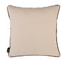 Double Sided Cushion Champagne 59