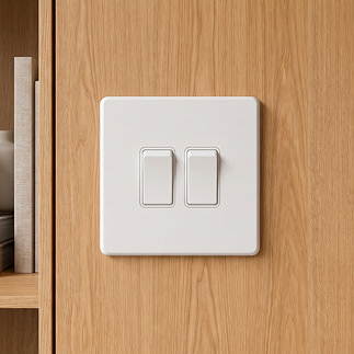White 10A Double Switch