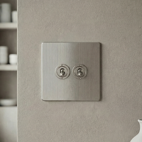 2 Gang Toggle Switch in Stainless Steel