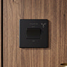 Matt Black Fan Isolator Switch