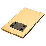 Satin brass shaver socket flat