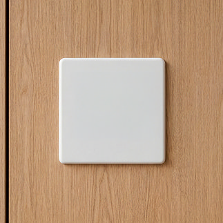 White Single Blank Plate