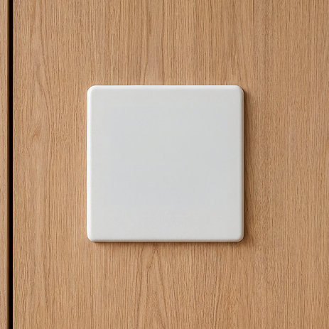 White Single Blank Plate