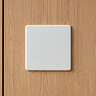 White Single Blank Plate