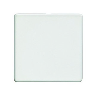 White single blank plate cut out