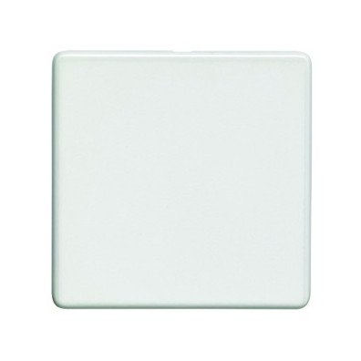 White single blank plate cut out