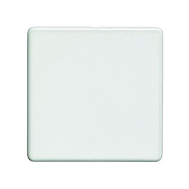 White single blank plate collection