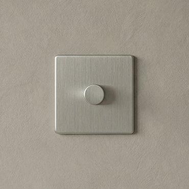 1 Gang Dimmer Switch in Stainless Steel Cut Out