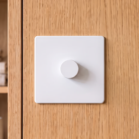 Single Dimmer Switch in white