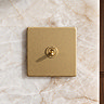 Single Toggle Switch Satin Brass Lifestyle