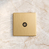 Single TV Socket Satin Brass Lifestyle