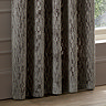 Manhattan Mink Eyelet Curtains over a window close up image