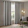 Manhattan Eyelet Silver Curtains over a window image