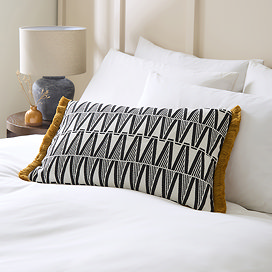 Miles Geo Tassel Feather Cushion - Monochrome main image