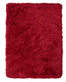 image cut out on white background of red shaggy rug