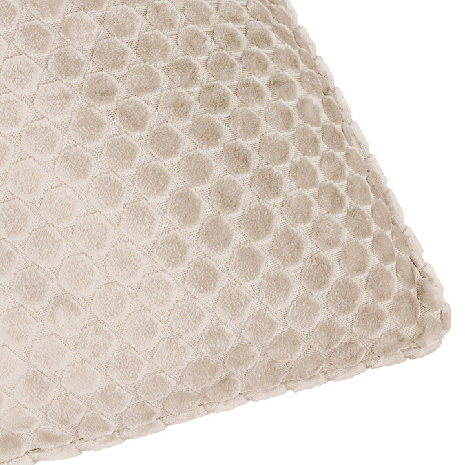 Neptune Feather Cushion in Champagne close up image