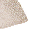 Neptune Feather Cushion in Champagne close up image