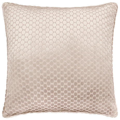 Neptune Feather Cushion in Champagne image
