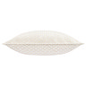 Neptune Ivory Feather Cushion side on image