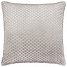 Neptune Feather Cushion in silver image