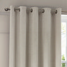 Neptune Eyelet Curtains in Ivory over a window image
