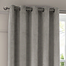Neptune Eyelet Curtains in Silver over a window close up image