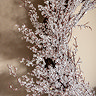 Fern Frosted twig wreath
