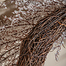 Fern Frosted twig wreath
