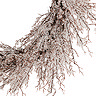 Fern Frosted twig wreath