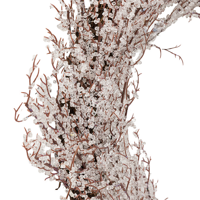 Fern Frosted twig wreath