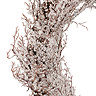 Fern Frosted twig wreath