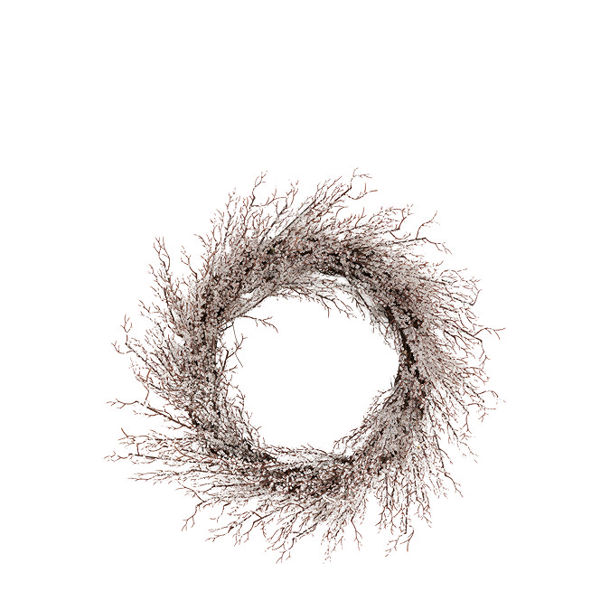 Fern Frosted twig wreath