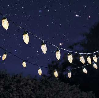 image of pine cone shaped string lights glowing warm white at night with starry sky