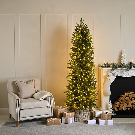 Orion Nevada fir tree