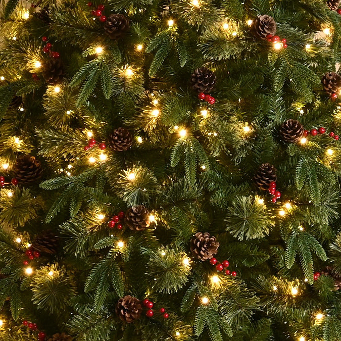 Faeve close up