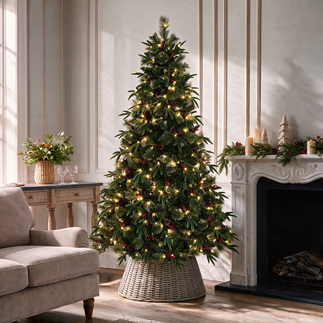 Pre-Lit Faeve - 6ft Shadowfall Fir Christmas Tree