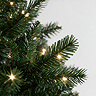 Pre-Lit Arwen - 6ft Pine Christmas Tree