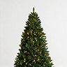 Pre-Lit Arwen - 6ft Pine Christmas Tree