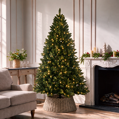 Pre-Lit Arwen - 6ft Pine Christmas Tree