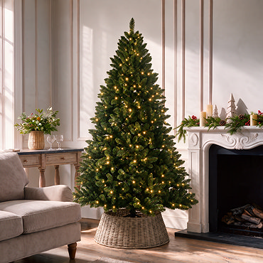 Pre-Lit Arwen - 6ft Pine Christmas Tree